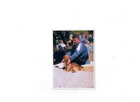 y1pp_sHtUkLrFYdjvUnqf5ter3gwg77csHfFlN4epJRUi2ItVe0S7z4YLkEHIz7vX2HrPQlFnn0EUY.jpg, 18 KB